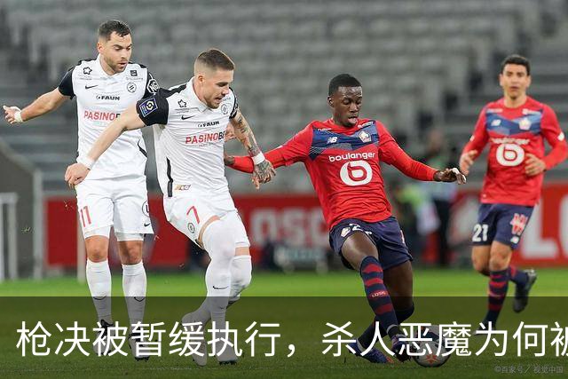枪决被暂缓执行，杀人恶魔为何被枪下留人？长春大蒜王被害案始末
