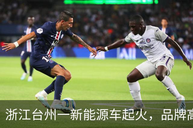 浙江台州一新能源车起火，品牌高管回应：车辆在刹停状态下被重型渣土车追尾，3名乘客未受伤，车门能正常打开，动力电池保持完好
