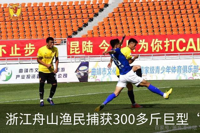 浙江舟山渔民捕获300多斤巨型“怪鱼”，已放归大海，经辨认系翻车鱼，是已知世界上生殖力最强的脊椎动物；网友：以为是一块大石头
