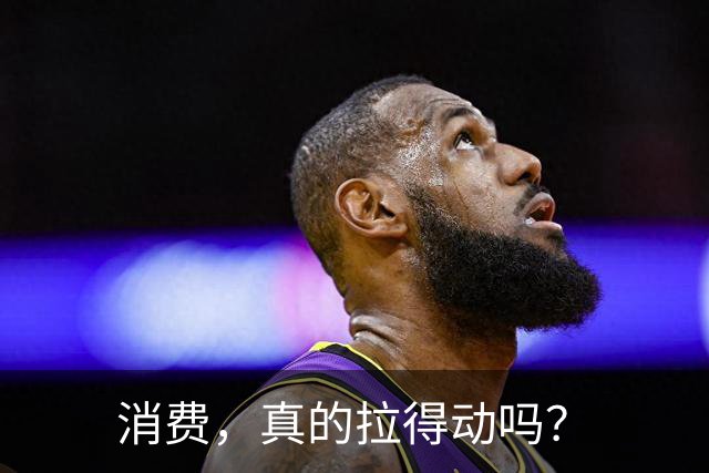 消费，真的拉得动吗？