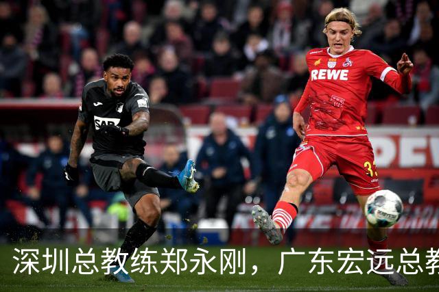 深圳总教练郑永刚，广东宏远总教练杜锋，谁会重返球队执掌教鞭？