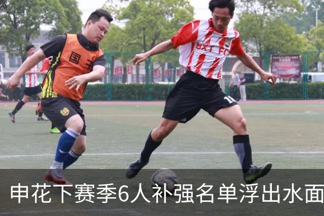 申花下赛季6人补强名单浮出水面，未来他们将挑大梁，值得期待