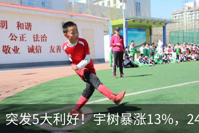突发5大利好！宇树暴涨13%，24个机器人龙头涨停，主力流入8股