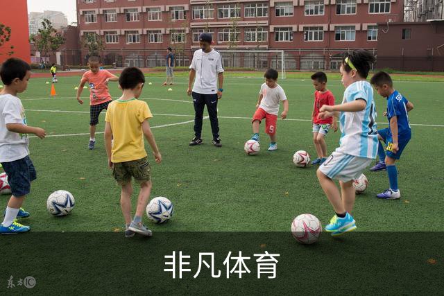 非凡体育公司简介图