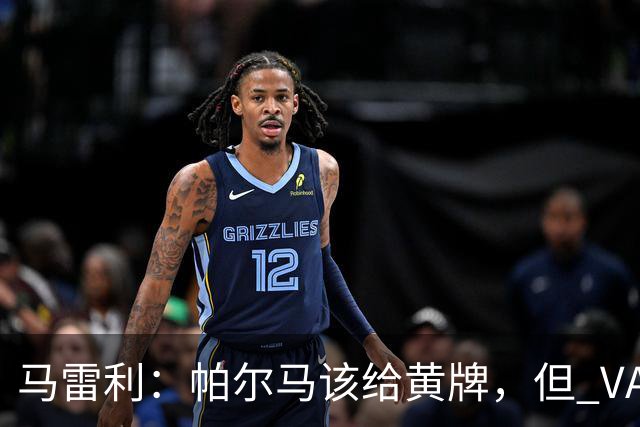 马雷利：帕尔马该给黄牌，但 VAR 不介入并无问题